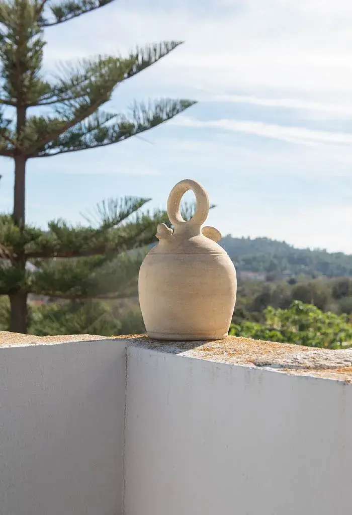 Paisaje rural y botijo